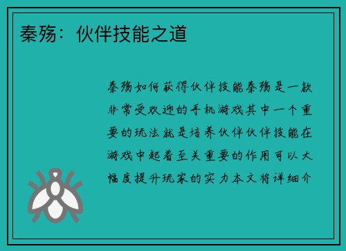 秦殇：伙伴技能之道