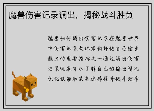 魔兽伤害记录调出，揭秘战斗胜负